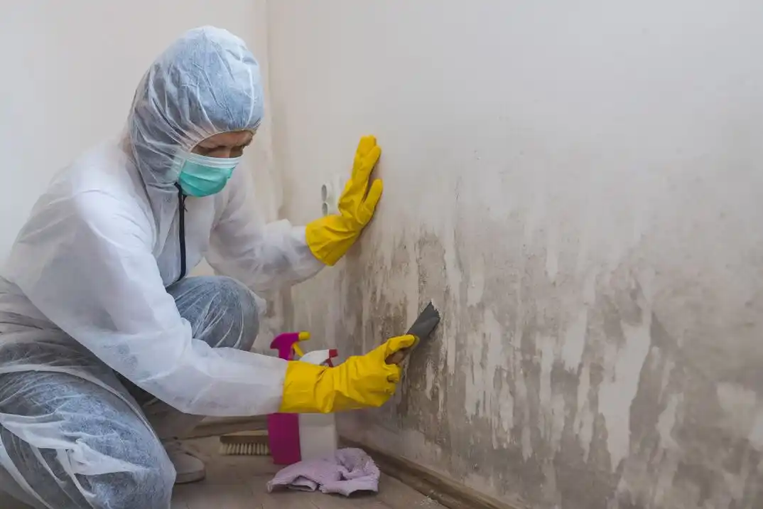 water damage restoration service Sunset Park